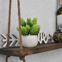 Hanah Home Estantería de pared Aa042 v2 color Nogal
